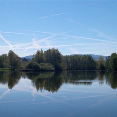 竞彩足球app官方